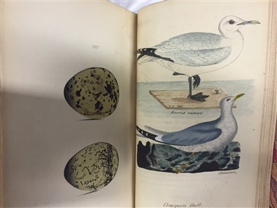 Lot 79 - Hewitson (William C). Eggs of British Birds, 2nd edition, 1842-6, extra-illustrated