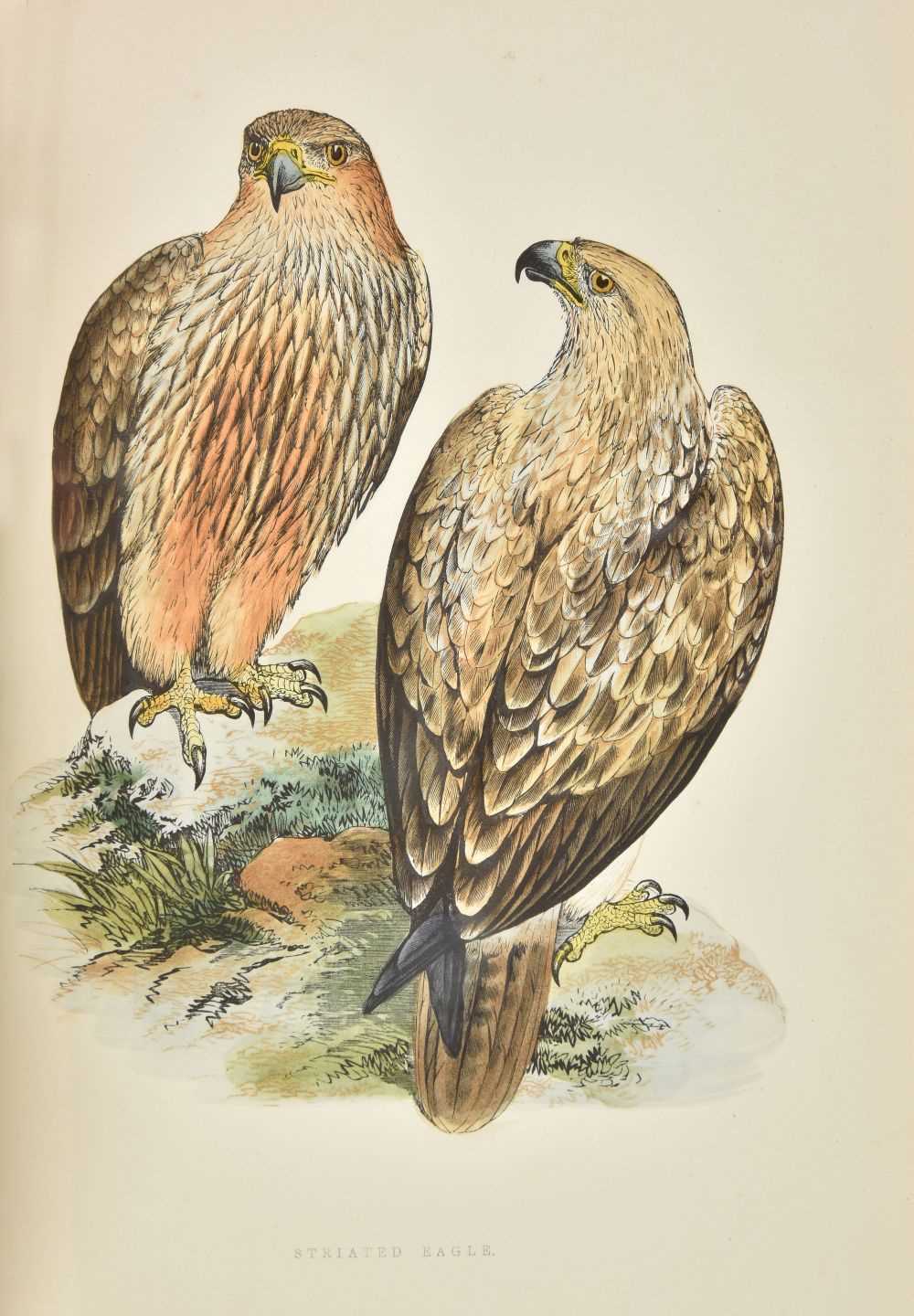 Lot 71 - Bree (Charles Robert). Birds of Europe, 2nd edition, 1875-6