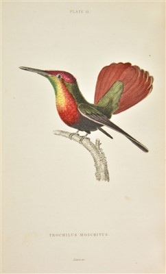 Lot 126 - Jardine (Sir William). The Natural History of Humming-Birds, 1st edition, 1833