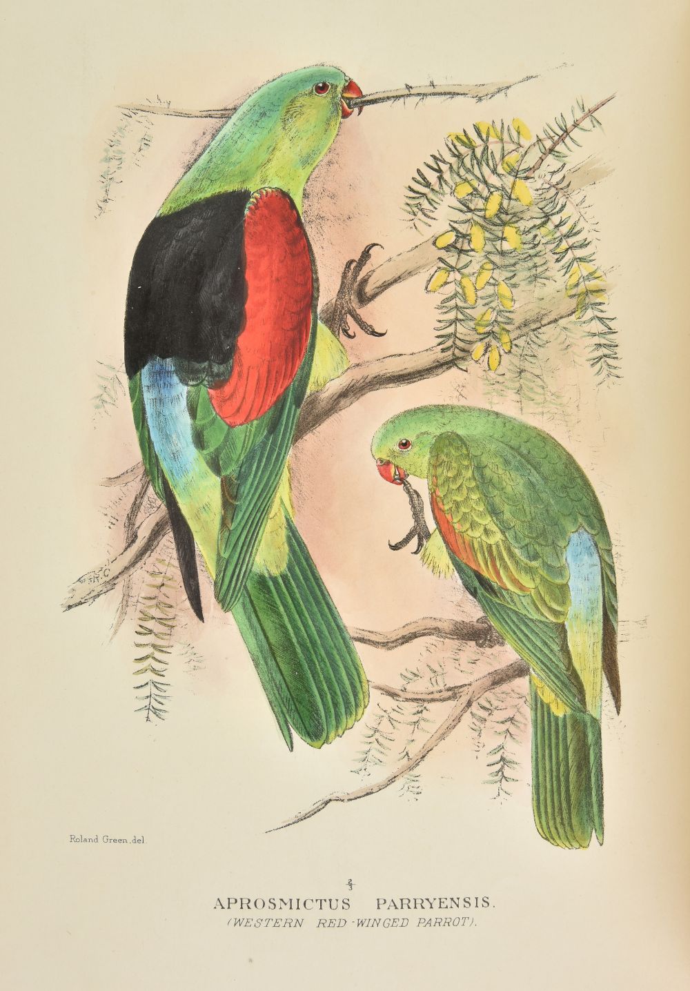 Lot 90 - Mathews (Gregory M.). The Birds of Australia,