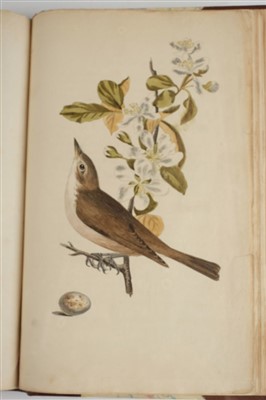 Lot 74 - Cotton (John).  The Song Birds of Great Britain, 1st edition, 1836