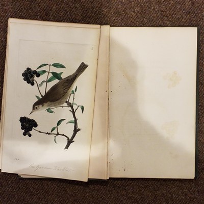 Lot 109 - Sweet (Robert). The British Warblers, 1823 [and others]