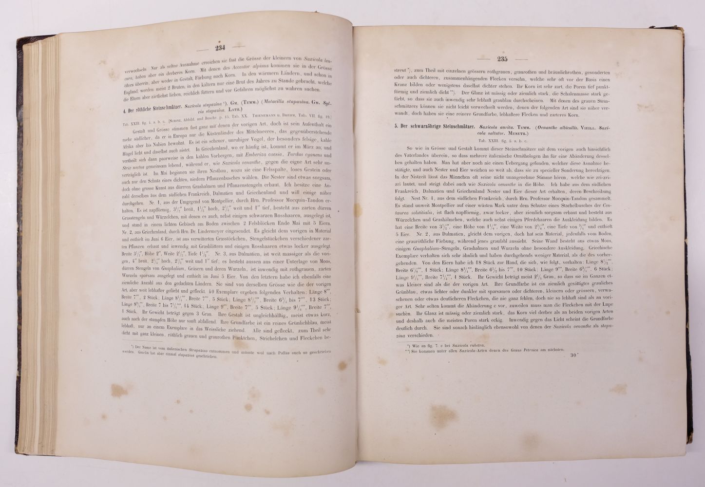 Lot 111 Thienemann (Friedrich August Ludgwig).