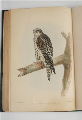 Lot 99 - Salvin (Francis Henry, & William Brodrick). Falconry in the British Isles, 2nd edition, 1873