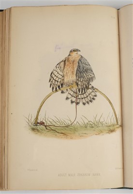 Lot 99 - Salvin (Francis Henry, & William Brodrick). Falconry in the British Isles, 2nd edition, 1873