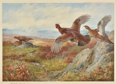 Lot 229 - Thorburn (Archibald). Spring Grouse, 1927 [and others]