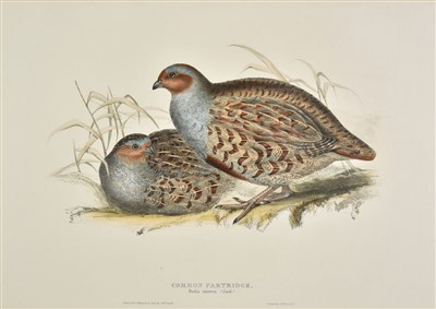 Lot 211 - Gould (John). Common Partridge [and others], 1832-7