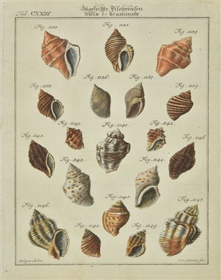 Lot 227 - Shells. Martini (Friedrich Heinrich & Chemnitz Johann Hieronymus), 1769-95