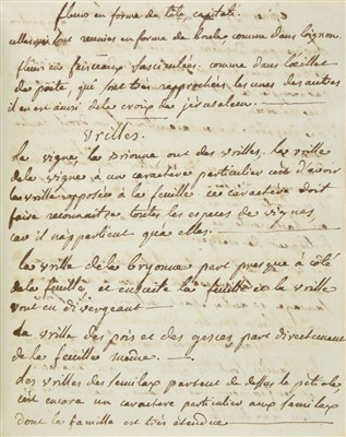 Lot 246 - French Botany Manuscript, 1780/90