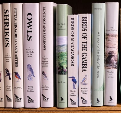 Lot 117 - Christopher Helm (publishers). Collection of modern ornithology reference, c.1980-2000