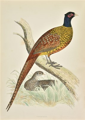 Lot 74 - Morris (Beverley R.) British Game Birds and Wildfowl, 1st edition, 1855