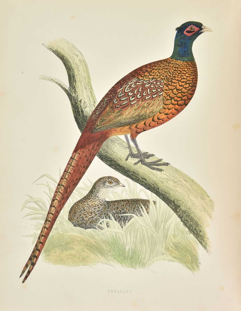 Lot 75 - Morris (Beverley). British Game Birds and Wildfowl, 1864