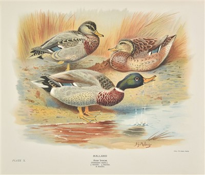 Lot 72 - Millais (J. G.). The Natural History of the British Surface-Feeding Ducks, 1902