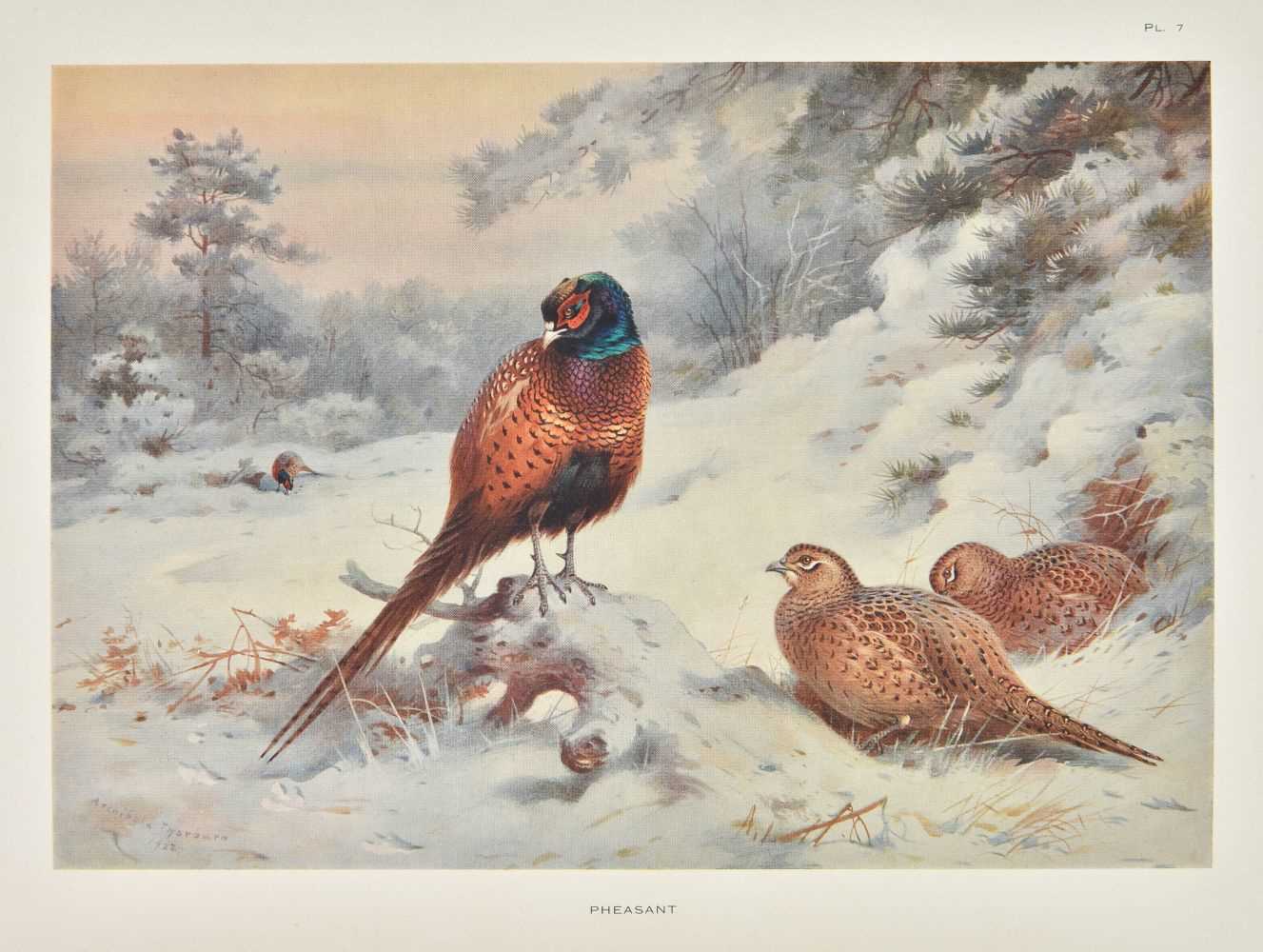 Lot 81 - Thorburn (Archibald). Game Birds and Wild-Fowl of Great Britain and Ireland. 1923