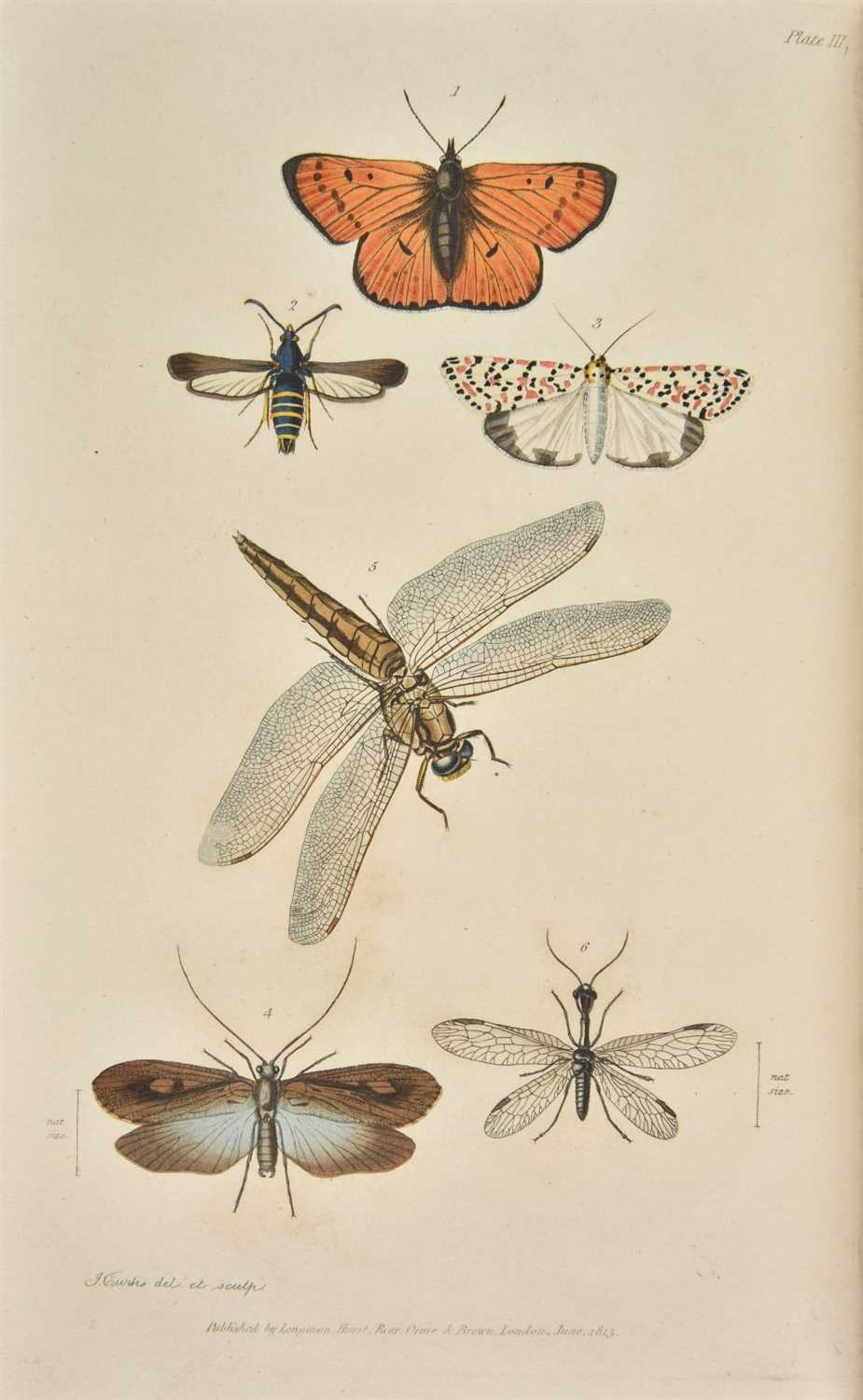 Lot 71 - Kirby (William & Spence, William). An Introduction to Entomology, 4 volumes, mixed editions, 1822-26