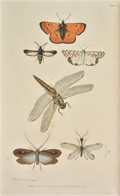 Lot 71 - Kirby (William & Spence, William). An Introduction to Entomology, 4 volumes, mixed editions, 1822-26