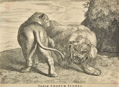 Lot 192 - Blooteling (Abraham, 1640-1690). Variae Leonum Icones, after Peter Paul Rubens