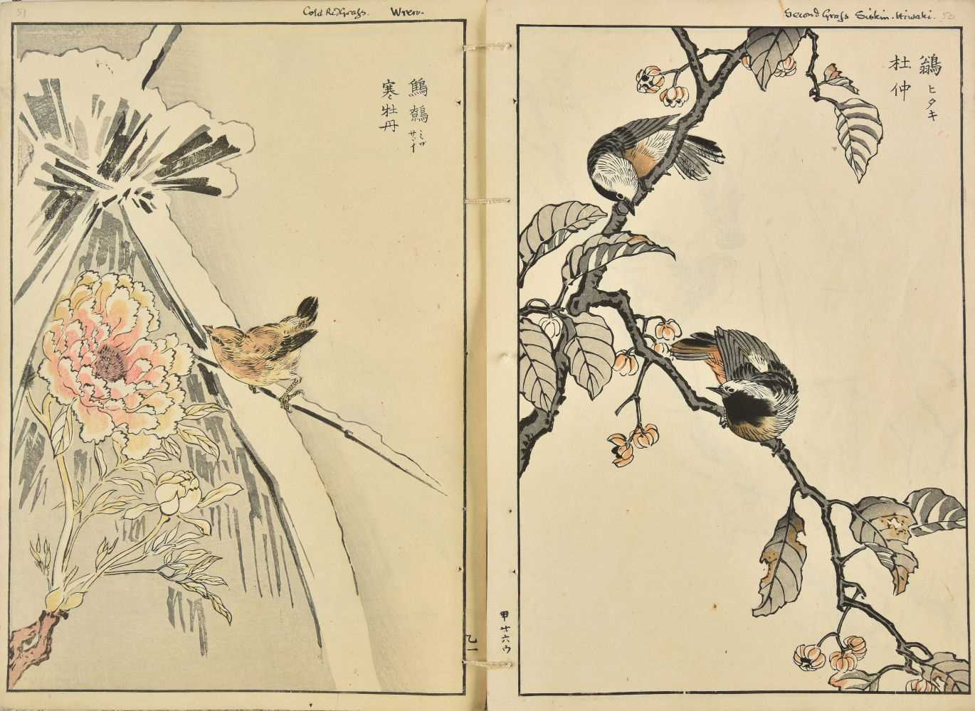 Lot 68 - Bunrei (Maekawa, 1837-1917). Studies of Birds and Plants by Bunrei