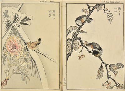 Lot 68 - Bunrei (Maekawa, 1837-1917). Studies of Birds and Plants by Bunrei