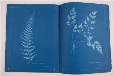 Lot 77 - Dobbie (Herbert Boucher). 145 Varieties of New Zealand Ferns, 2 volumes, 1st edition, c. 1880