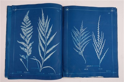 Lot 77 - Dobbie (Herbert Boucher). 145 Varieties of New Zealand Ferns, 2 volumes, 1st edition, c. 1880