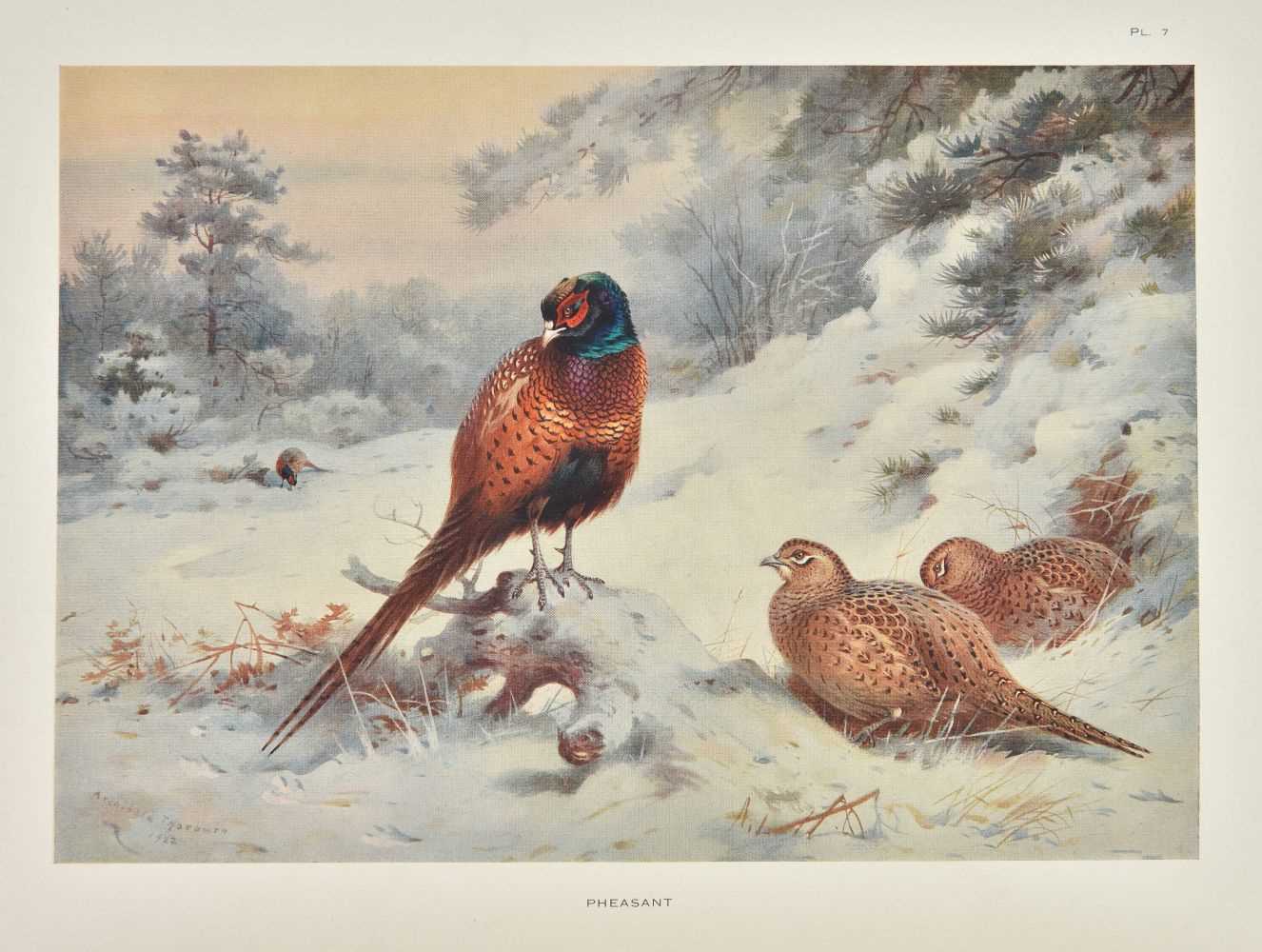 Lot 80 - Thorburn (Archibald). Game Birds and Wild-Fowl of Great Britain and Ireland, 1923