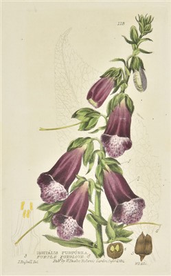 Lot 65 - Baxter (William). British Phaenogamous Botany, 6 volumes, Oxford, 1834-1843