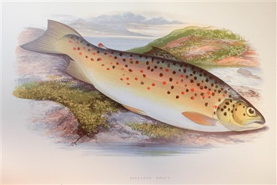 Lot 83 - Houghton (William). British Fresh-Water Fishes, 1st edition, 1879