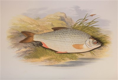 Lot 83 - Houghton (William). British Fresh-Water Fishes, 1st edition, 1879