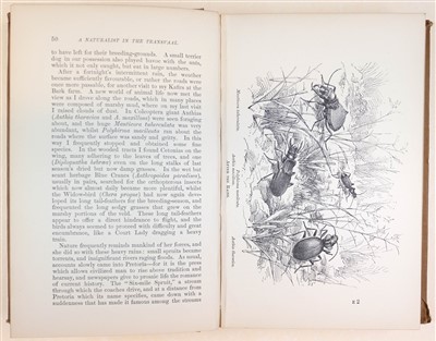 Lot 54 - Distant (William Lucas). A Naturalist in the Transvaal, first edition, R.H. Porter, 1892