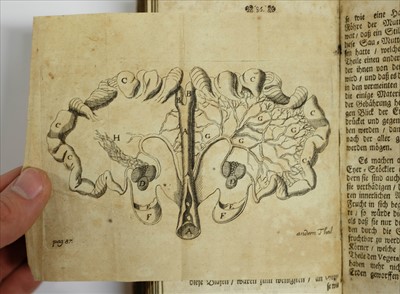 Lot 282 - Blegny (Nicolas de). Monatliche neueroffnete Anmerckungen..., 1680-1683
