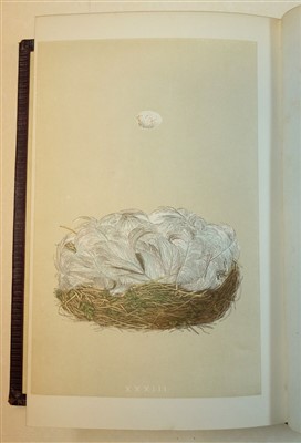 Lot 87 - Morris (F.O.) A Natural History of the Nests and Eggs of British Birds, 3 volumes, 1864