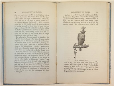 Lot 81 - Harting (James Edmund). Hints on the Management of Hawks, 1884
