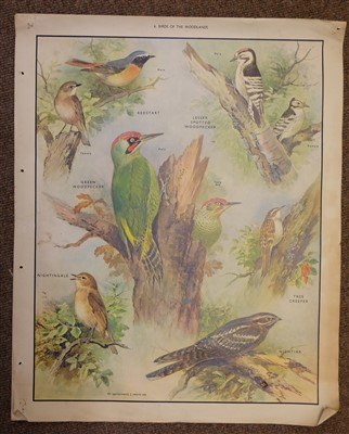 Lot 41 - Prints & engravings. A mixed collection of approximately 500 prints, 19th & 20th century