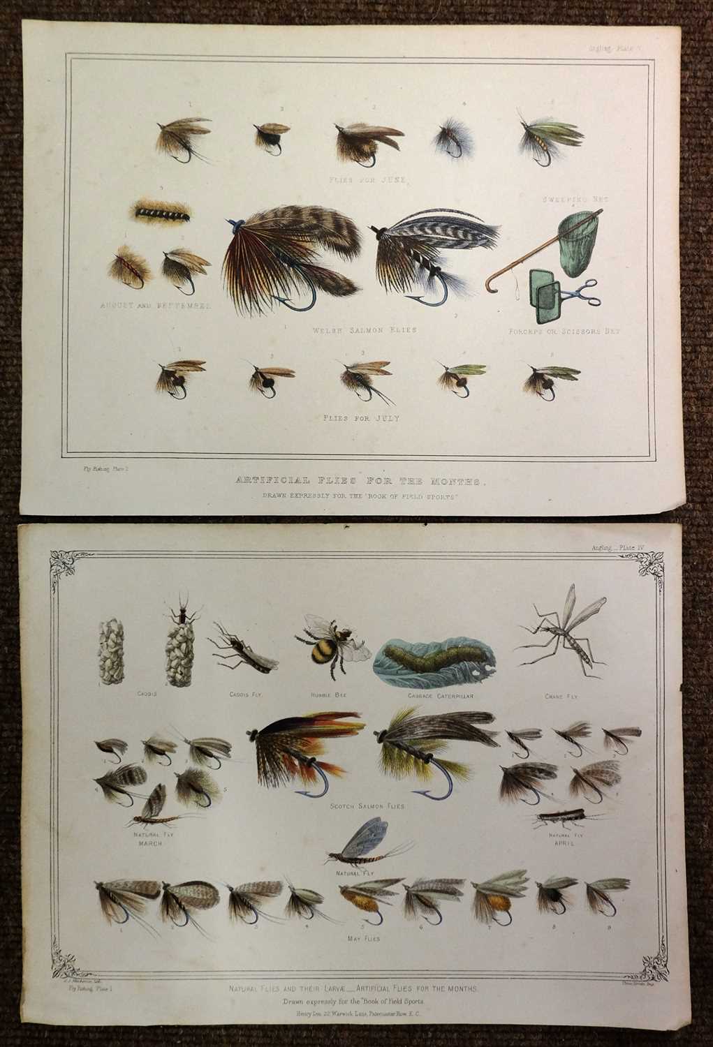 Dogs & Natural History. A mixed collection of approximately 400 prints...