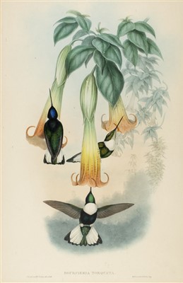 Lot 78 - Gould (J. & Richter H. C.). Humming Birds, [1850]