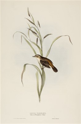 Lot 76 - Gould (J. & E.). Fourteen lithographs of Birds [1832 - 1835]