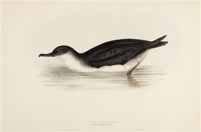 Lot 77 - Gould (J. & E.). A collection of fourteen lithographs, [1832 - 1835]