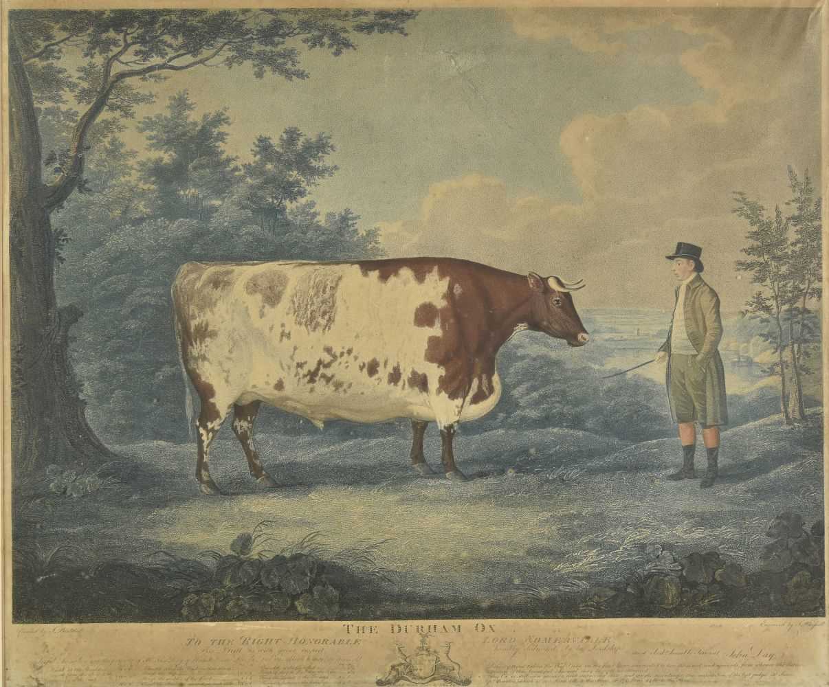 Lot 347 - Whessell (John, circa 1760-circa 1840). The Durham Ox, 1802