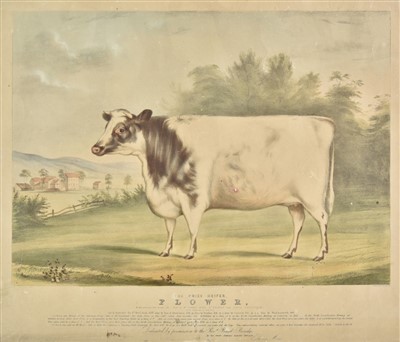 Lot 326 - Moody (C.). The Prize Heifer Flower, 1846