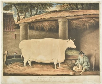 Lot 187 - Ward (William). A Short Horned Heifer, 7 Years Old, published W. Robinson, 1811