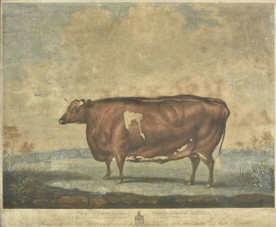 Lot 191 - Ward (William). The Unrivalled Lincolnshire Heifer, 1813