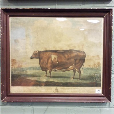 Lot 191 - Ward (William). The Unrivalled Lincolnshire Heifer, 1813