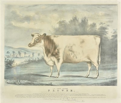 Lot 173 - Moody (C.). The Prize heifer Flower..., 1846
