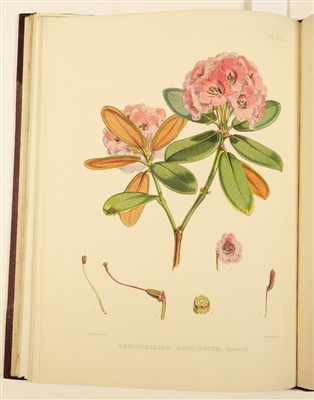 Lot 34 - Hooker (Joseph Dalton). The Rhododendrons of Sikkim-Himalaya, 1st edition, 1849