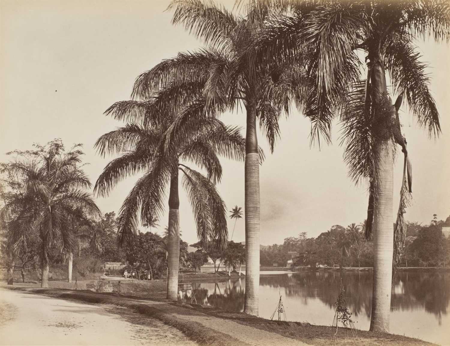 Lot 36 - Ceylon. Scowen & Co. A group of 8 views of Ceylon, c. 1880