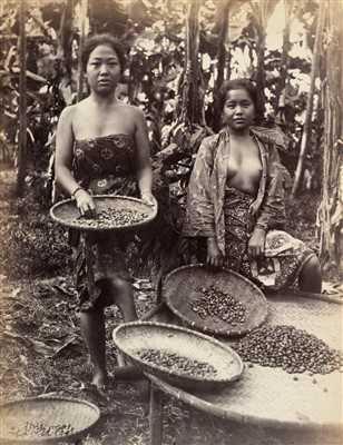 Lot 68 - Indonesia. Two Malay women sorting cocoa beans in Bulungan, Indonesia, c. 1870