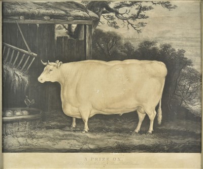 Lot 196 - After Thomas Weaver (1774-1843). A Prize Ox, 1831