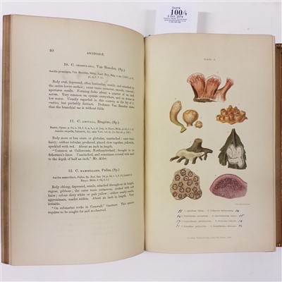 Lot 100 - Forbes (Edward & Hanley, Sylvanus). A History of British Mollusca, and their Shells, 4 volumes, 1853