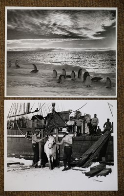Lot 177 - Antarctica. Ponting (Herbert George). Six photographs of the British Antarctic Expedition 1910-13